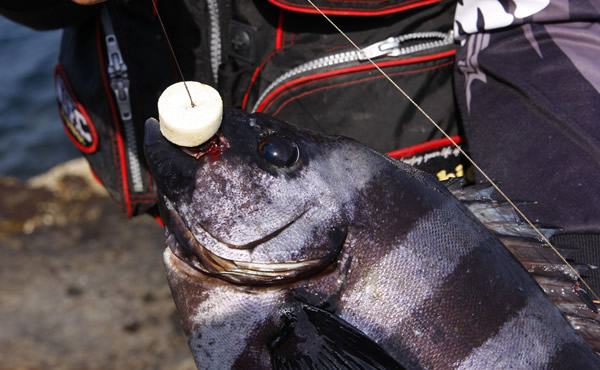 マジックフロート