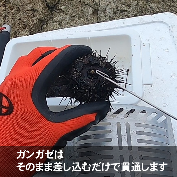 ウニ通し