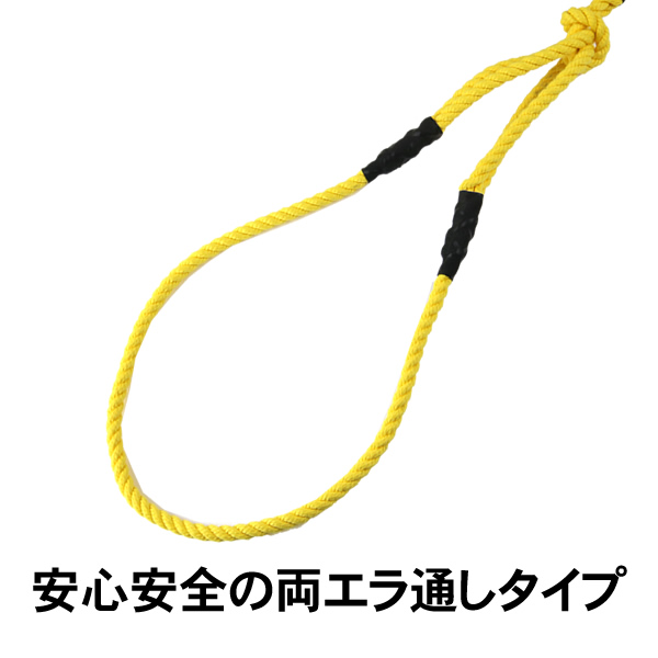 キングストリンガー