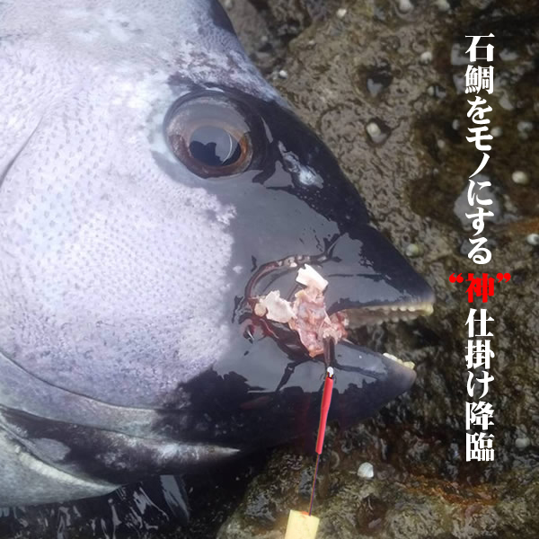 パイプテンビン遠投タイプ