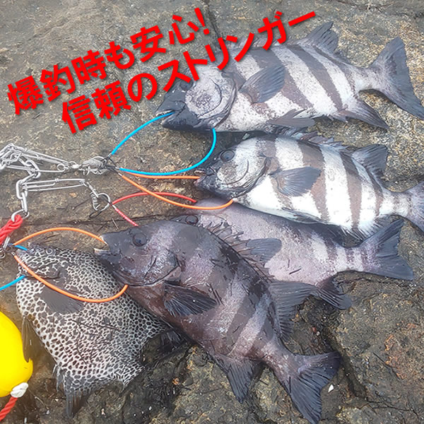 レッドストリンガーSP