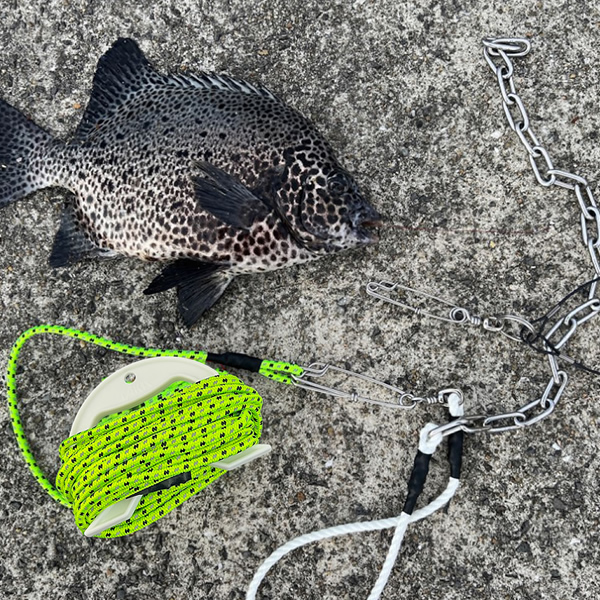 ストリンガーワイヤーW