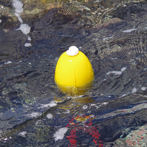 イエローフロート