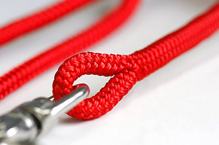 ロッドコードプレミアム