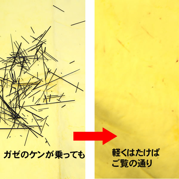 フィッシングタオルせ~むくん